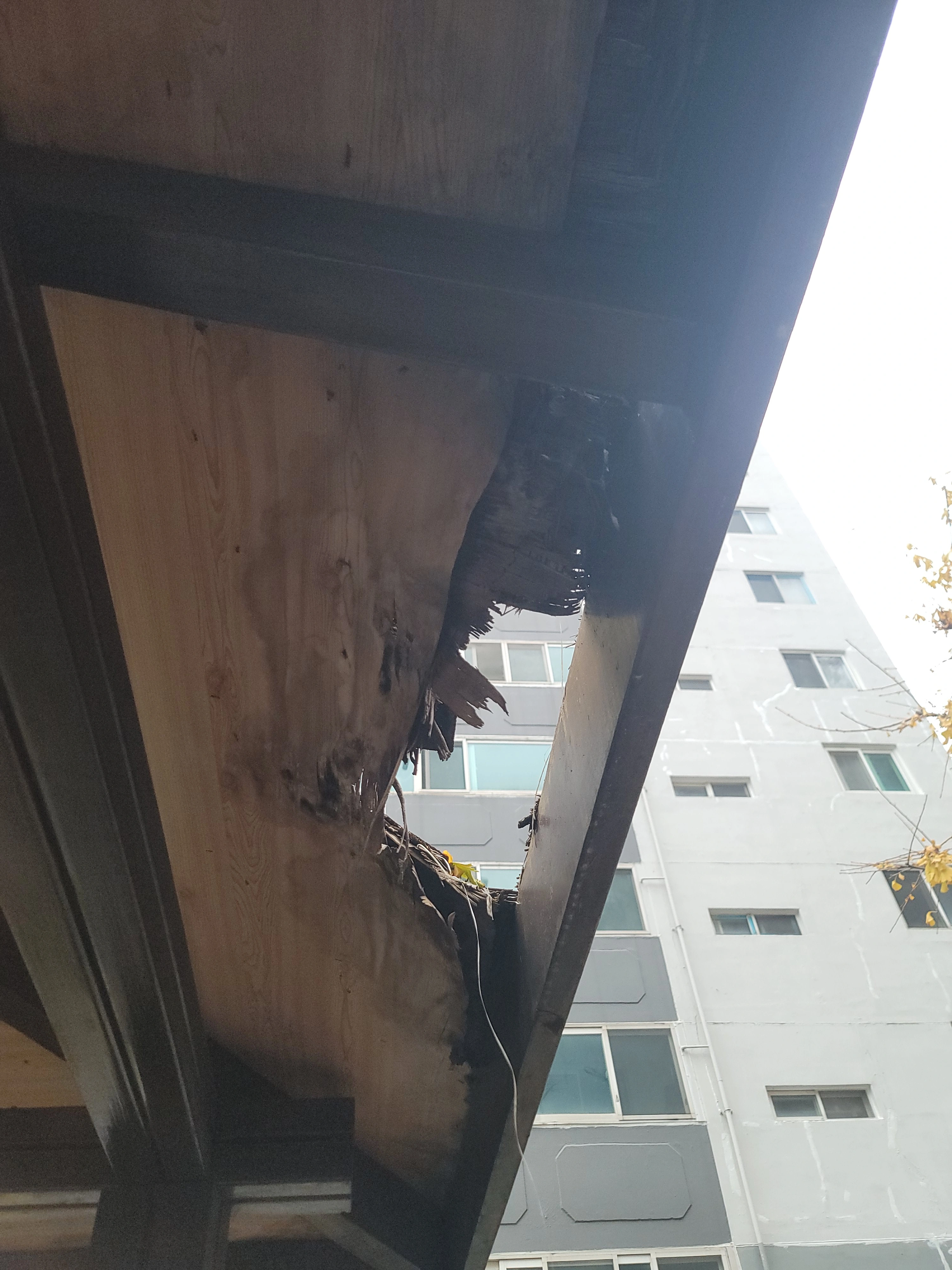 파고라 누수 진단